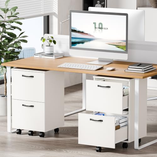 DUMOS 2 Drawer Filing Cabinet, Rolling Under Desk Storage, White | Not for Hanging Files, Printer Stand, Lockable Wheels, Mobile Wood Home Office Organizer