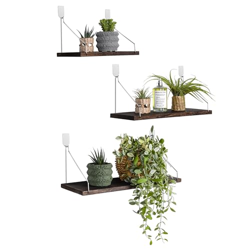 Floating Wall Shelves, Rustic Wood Wall Mounted Sh... (3 Count | Retro Color | Paulownia)