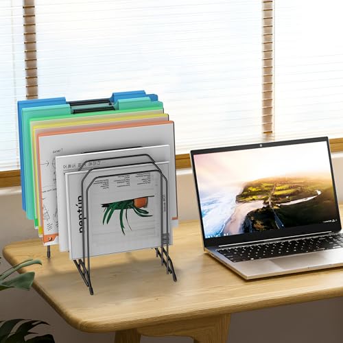 Incline Sorter Desk File Organizer, Metal Desk Magazine Folder Holder with 8-Section Vertical Compartments Rack File Organizer for Office, Home, School