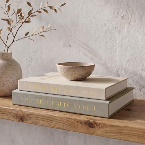 Set of 2 Beautiful Decorative Linen Books - Aesthe... (2 Count | Sage-Beige | Paper)