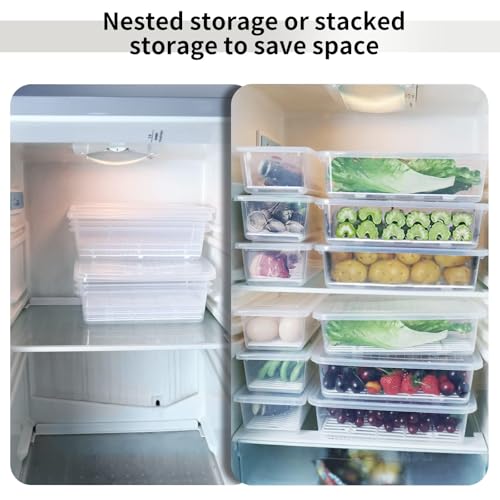 Food Storage Container, (3-Pack) Plastic Food Cont... (Clear | Polypropylene)