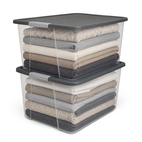 Clear Plastic Storage Bin with Secure Latching Gra... (2 Count | Gray Lid | Plastic, Resin)