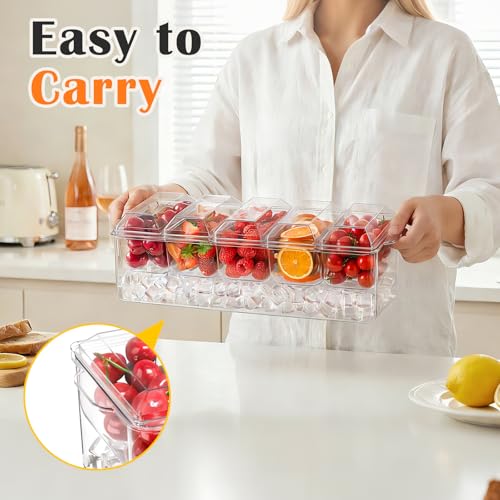 Condiment Tray, Chilled Condiment Server, Bar Accessories on Ice | Condiment Caddy for Home, Party and Celebration, Bar Accessories with Removable Trays and Lids (5 Spoons & 2 Tongs)