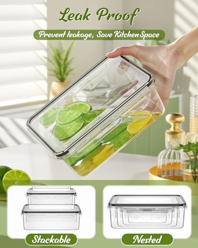 Canfanni 40 Piece Food Storage Containers with Lids, BPA-Free