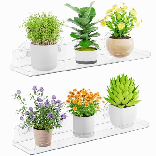 Window Plant Shelves 14.6", 2 Pack Acrylic Suction... (2 Count | Transparent | Plastic)