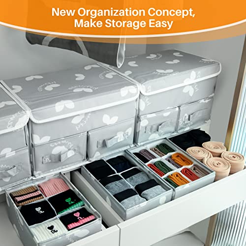 EASEVE Sock Underwear Drawer Divider - Closet Organizers and Dresser Organizer Wardrobe Clothes Box Storage Bins with Lid for Bra, Leggings, Shirt, Panty (1 Pack, Grey)