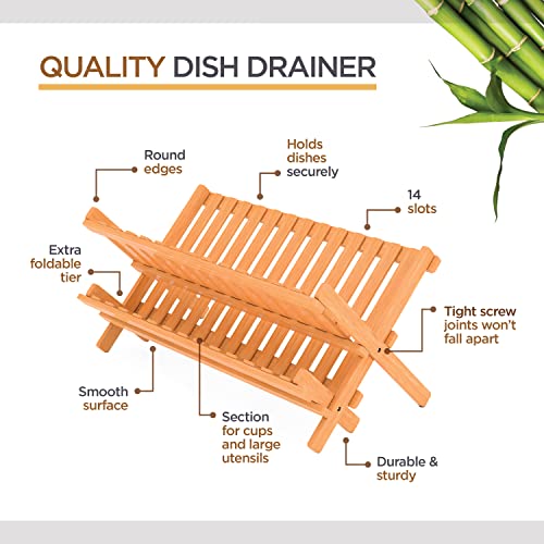 Collapsible Dish Drying Rack 2-Tier Bamboo Dish Drainer for Kitchen Counter | No Assembly Wooden Dish Rack, Compact Dish Strainer, Holds Plates Cups Bowls Mugs Utensils, Folds Flat for Small Kitchens, RV