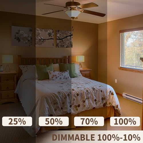 75W Incandescent Light Bulbs