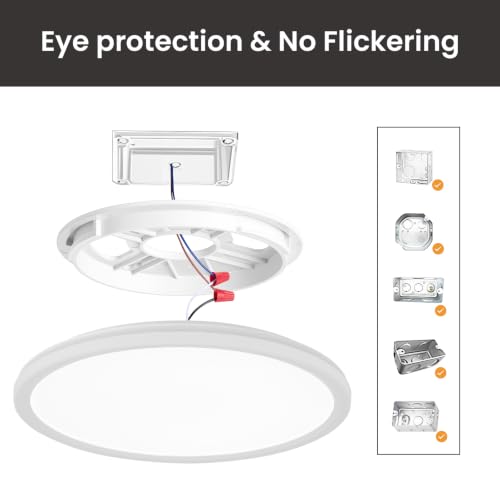 12in LED Ceiling Light with Remote Control Night Light