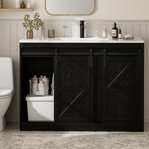 Bathroom Vanity with Sink