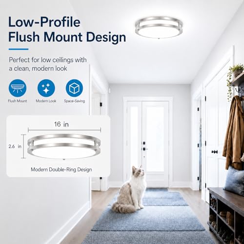 2 Pack 16 inch Large Dimmable LED Flush Mount Ceiling Light Fixture (Brushed Nickle / 16inch-2Packs)