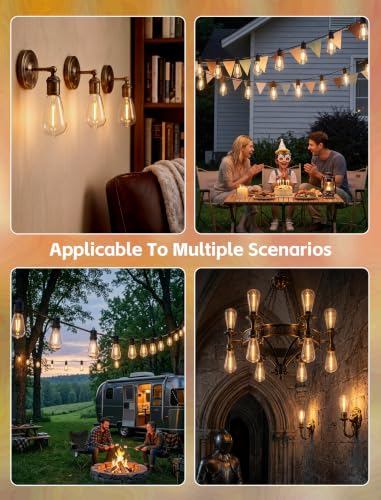 25PK ST38 Replacement Bulbs for Outdoor String Lights (ST38 LED Clear Bulbs)