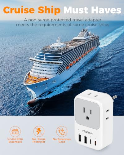 Switzerland Travel Plug Adapter 2 Pack (Grey white-Type J)