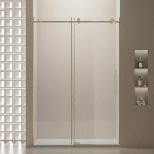 Frameless Double Sliding Shower Door