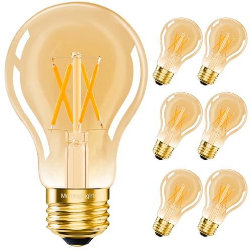 Vintage LED Edison Light Bulbs 60 Watt