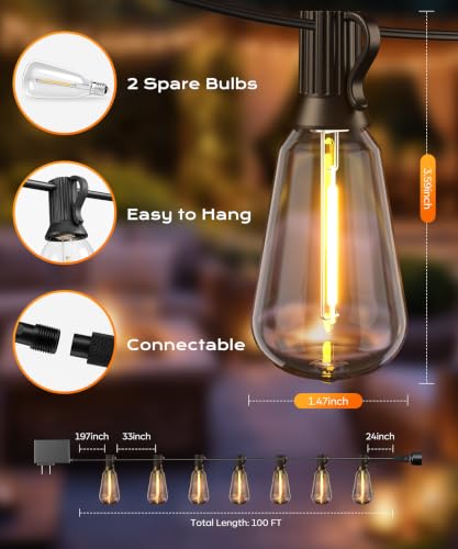 Outdoor String Lights (100FT)