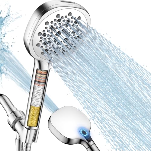 Filtered Shower Head with Handheld