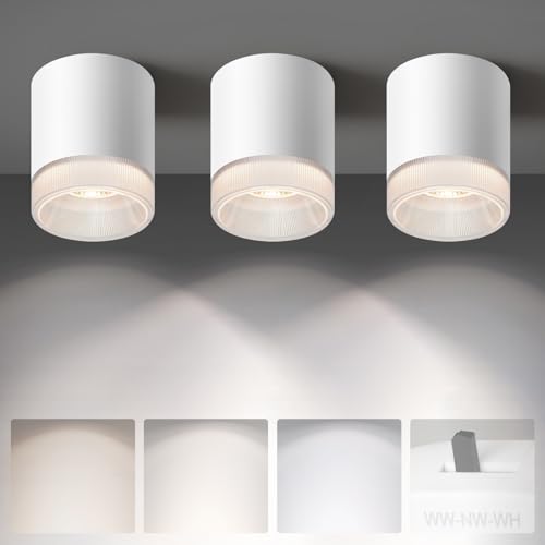Ceiling Light Fixtures for Hallway Kitchen Entryway