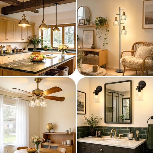 E26 LED Bulb Dimmable (2700k Warm White / E26 Standard Base)