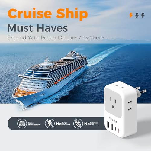 European Travel Plug Adapter 2 Pack (Grey white-Type C)