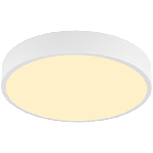 LED Low Profile Flush Mount Ceiling Light Fixture