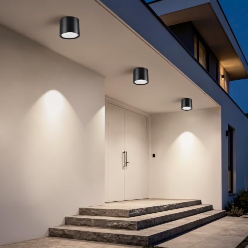 Flush Mount Dimmable Outdoor Ceiling Light Fixture