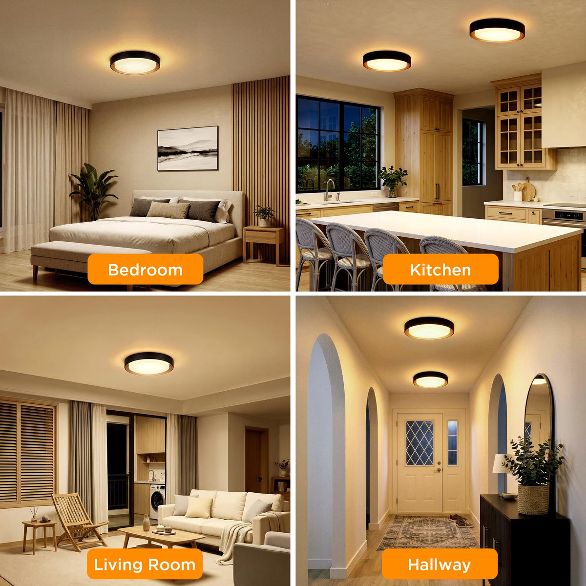 2 Pack Flush Mount Ceiling Light (Matte Black)