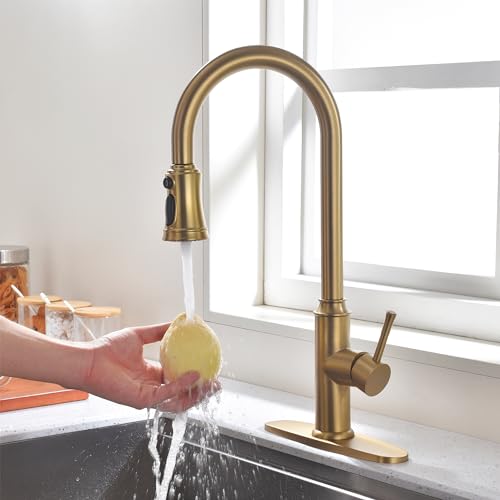 Kitchen Faucet with Pull Down Sprayer (Brushed Gold)