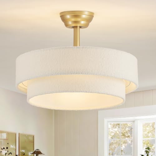Ceiling Fans with Lights