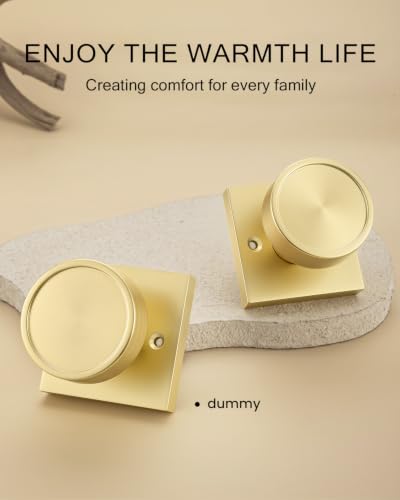 Gold Dummy Door Knobs for Closet (Gold)