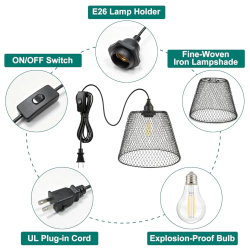 Plug in Pendant Light Fixture