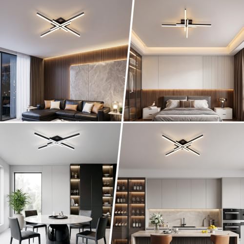 Modern Ceiling Light Fixture
