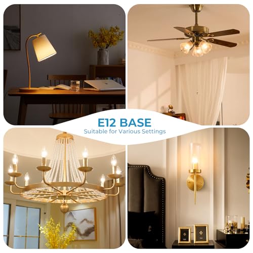 E12 Light bulbs (12 Pack - 4w / Warm White)
