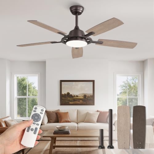 Large Ceiling Fans with Lights