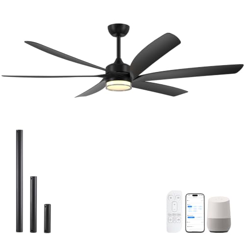 604 Smart Ceiling Fan with Light