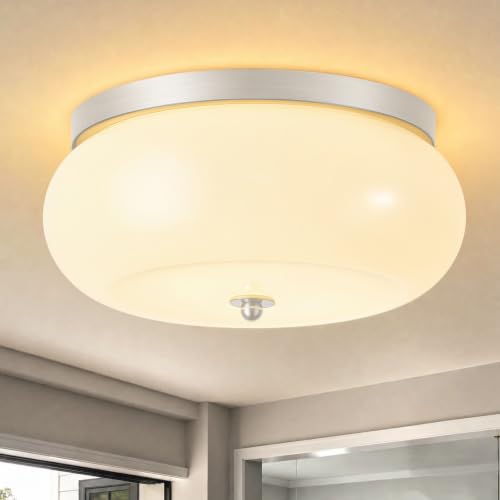 Modern Ceiling Light
