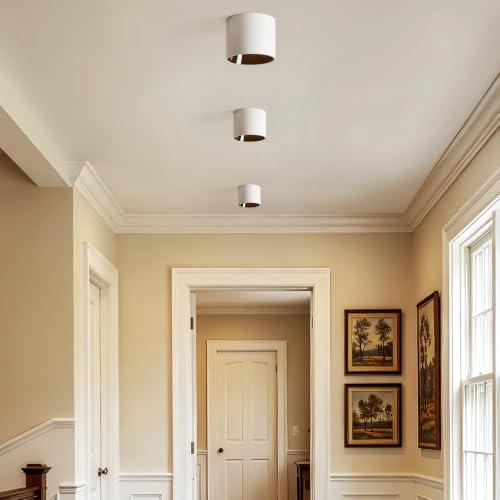 Flush Mount Ceiling Light Fixture