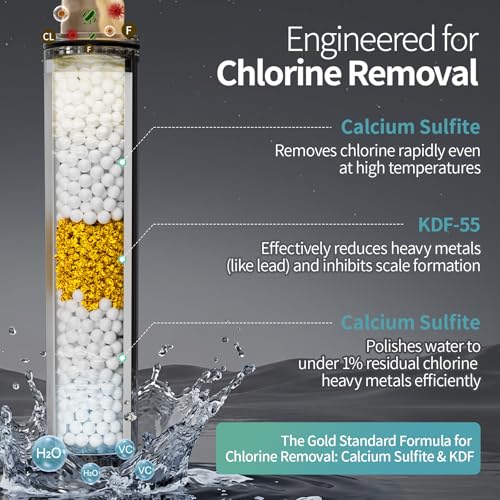 High Pressure Filtered Handheld Shower Head 9 Spray(1 filter) (2.5 Gallon Per Minute+1 Filter / Chrome Silver)