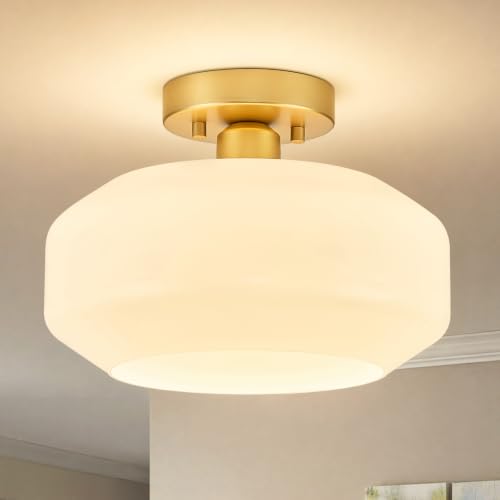 Modern Ceiling Light