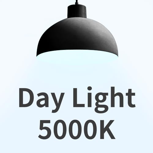 A19 LED Light Bulbs