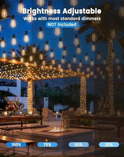 String Lights Outdoor
