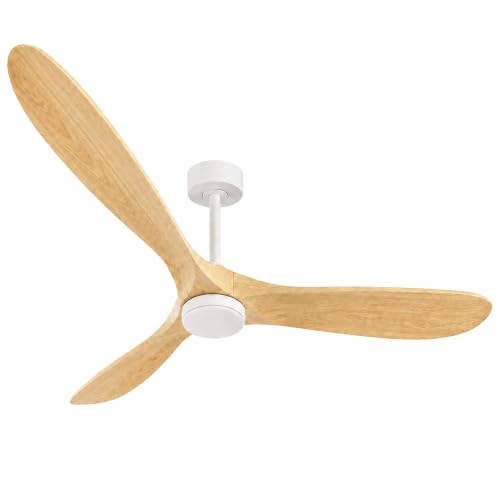 Modern Propeller Ceiling Fan with Light