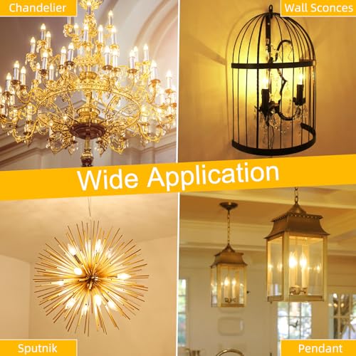 E12 Light bulbs (12 Pack - 6w / Warm White)