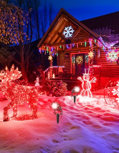 Halloween Red Landscape Lights Outdoor (Red / 2 Pack)