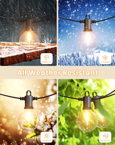 G50 String Lights