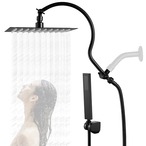 12" Shower Heads with Filtered Hand Sprayer Combo