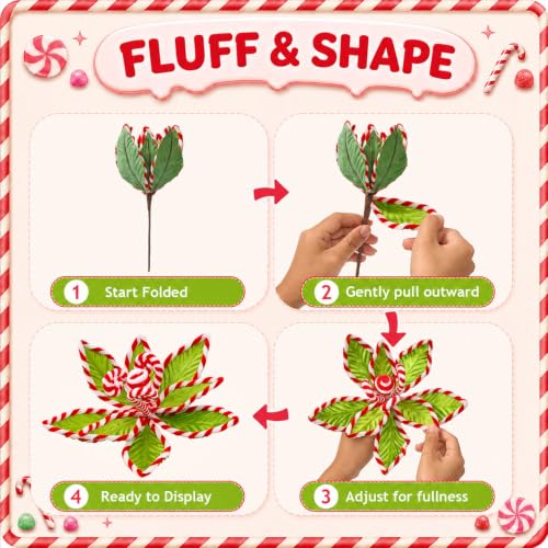 12 PCS Green Candy Cane Poinsettia (Green Whimsy)