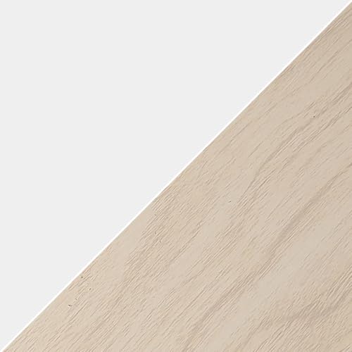 Ceiling Fan with Light