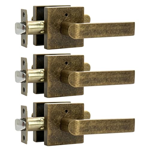 Interior Privacy Door Lever