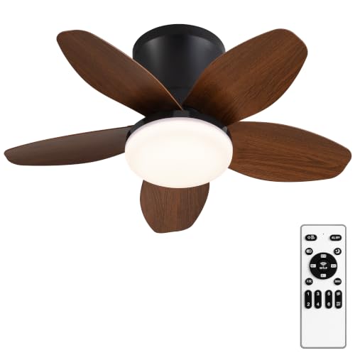 Ceiling Fan with Lights